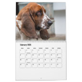 Basset Hound Kalender (Feb 2026)