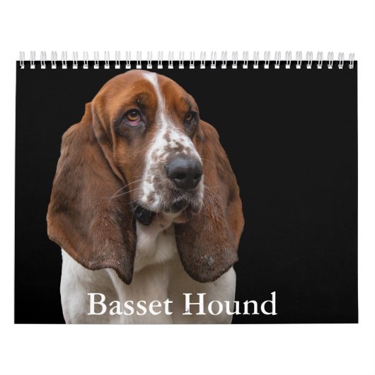 Basset Hound Kalender (Hoes)