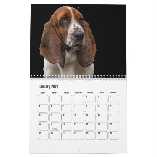 Basset Hound Kalender (Jan 2026)