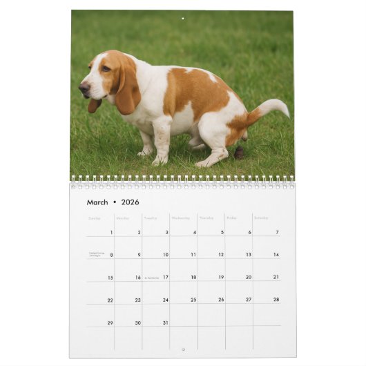 Basset Hound Kalender 2026 (Mar 2026)