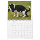 Basset Hound Kalender 2026 (Feb 2026)