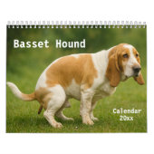 Basset Hound Kalender 2026 (Hoes)