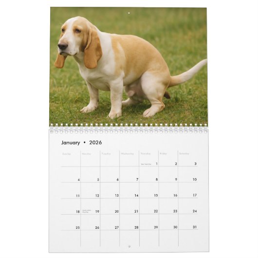 Basset Hound Kalender 2026 (Jan 2026)