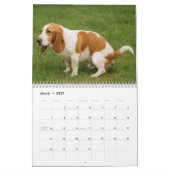 Basset Hound Kalender 2026 (Mar 2027)