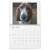 Basset hound kalender 24 maanden (Mar 2026)