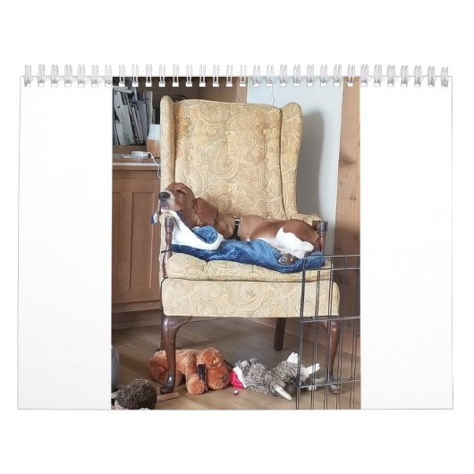 Basset hound kalender 24 maanden (Hoes)