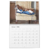 Basset hound kalender 24 maanden (Jan 2026)