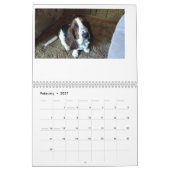 Basset hound kalender 24 maanden (Feb 2027)