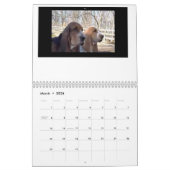 Basset Hound-kalender Kalender (Mar 2026)