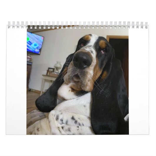 Basset Hound-kalender Kalender (Hoes)