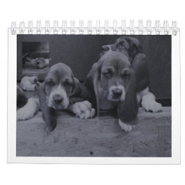 Basset hound-kalender kalender