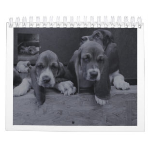 Basset hound-kalender kalender