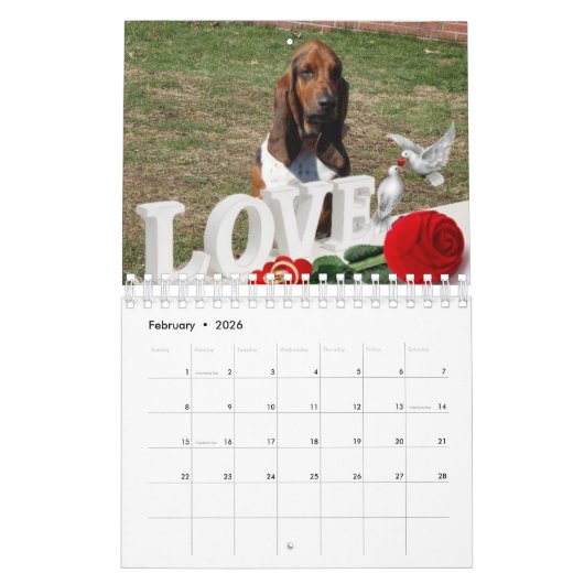 Basset hound-kalender kalender (Feb 2026)