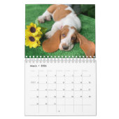 Basset hound-kalender kalender (Mar 2026)