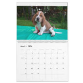 Basset hound-kalender kalender (Mar 2026)