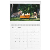 Basset hound-kalender kalender (Feb 2026)