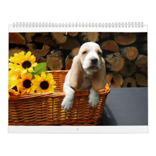 Basset hound-kalender kalender