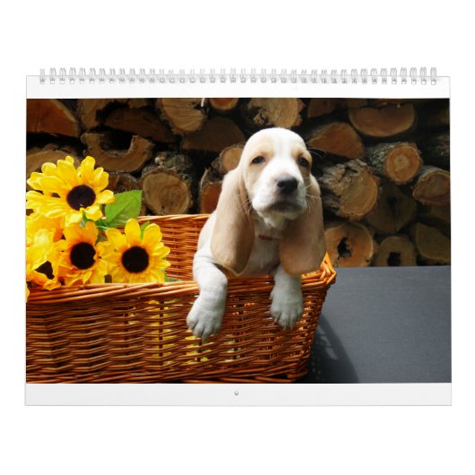 Basset hound-kalender kalender (Hoes)