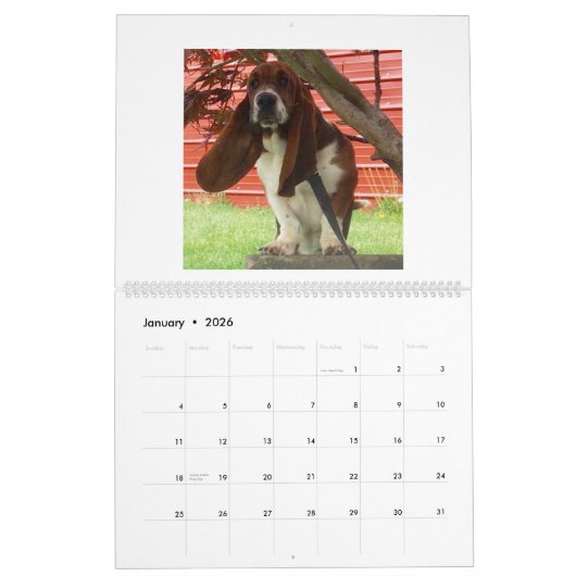 Basset hound-kalender kalender (Jan 2026)
