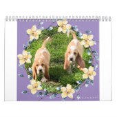 Basset hound-kalender kalender (Hoes)
