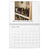 Basset hound-kalender kalender (Jan 2021)