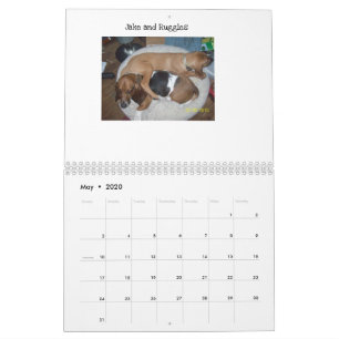 Basset hound-kalender kalender