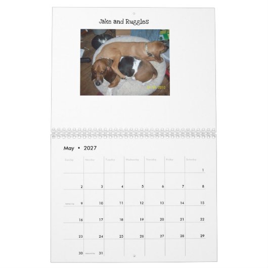 Basset hound-kalender kalender (Mei 2027)