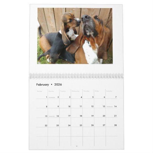Basset hound-kalender kalender (Feb 2026)