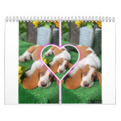 Basset hound-kalender kalender (Hoes)
