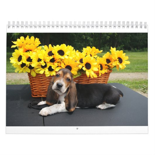 Basset hound-kalender kalender (Hoes)