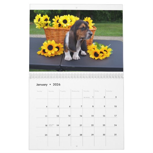 Basset hound-kalender kalender (Jan 2026)