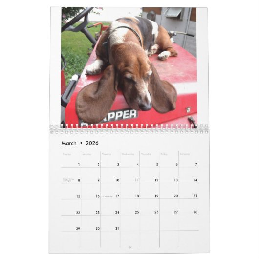 Basset hound-kalender kalender (Mar 2026)