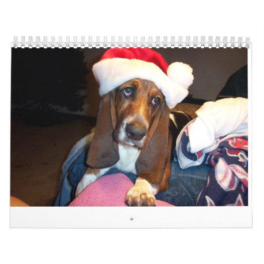Basset hound-kalender kalender (Hoes)
