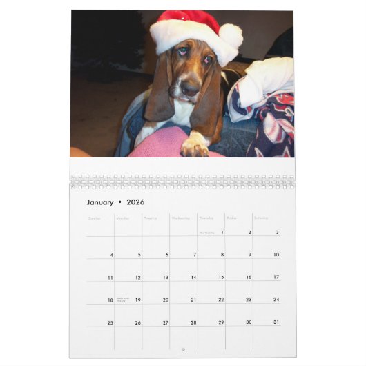 Basset hound-kalender kalender (Jan 2026)