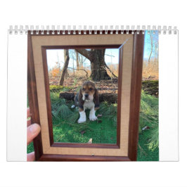 Basset hound-kalender kalender