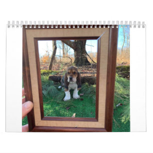 Basset hound-kalender kalender