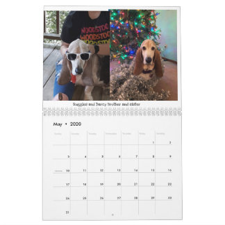 Basset hound-kalender kalender