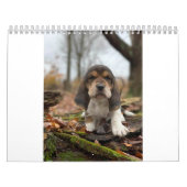 Basset hound-kalender kalender (Hoes)