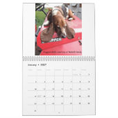Basset hound-kalender kalender (Jan 2027)