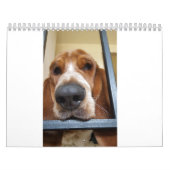 Basset Hound-kalender Kalender (Hoes)