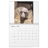 Basset Hound-kalender Kalender (Feb 2027)