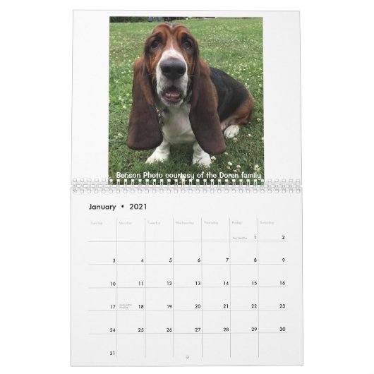 Basset hound-kalender kalender (Jan 2021)