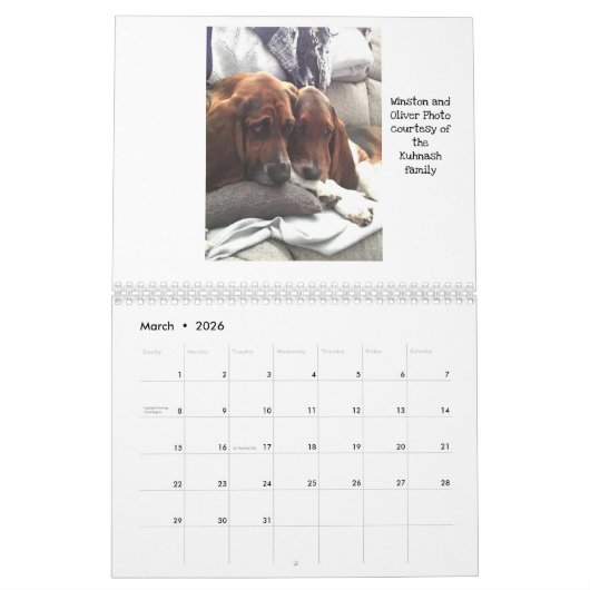 Basset hound-kalender kalender (Mar 2026)