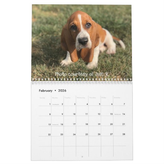 Basset hound-kalender kalender (Feb 2026)