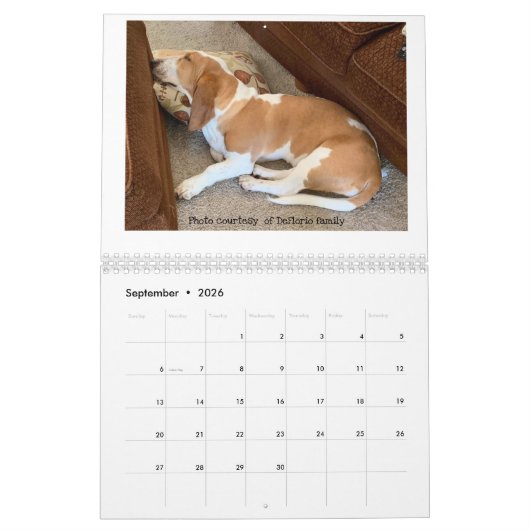Basset hound-kalender kalender (Sep 2026)