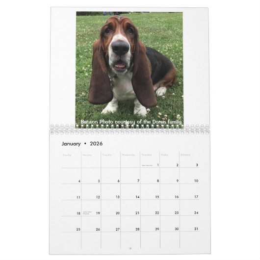 Basset hound-kalender kalender (Jan 2026)