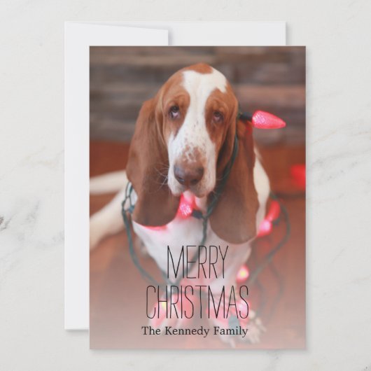 basset hound , kerst , kerstverlichting feestdagenkaart (Voorkant)