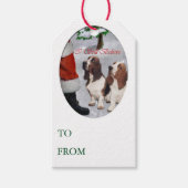 Basset Hound-kerstcadeautags Cadeaulabel (Voorkant)