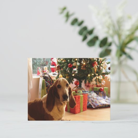 Basset hound Kerstmis Briefkaart (Staand voorkant)