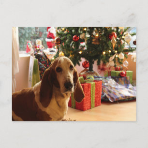 Basset hound Kerstmis Briefkaart